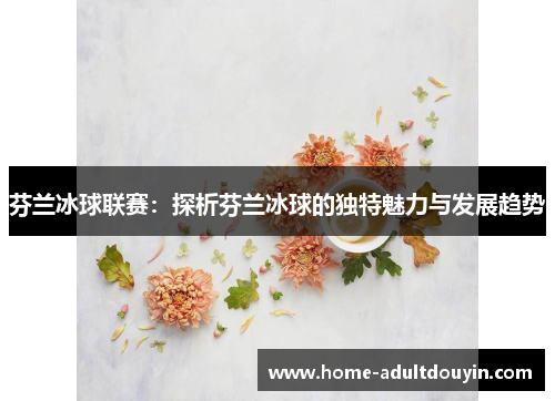 芬兰冰球联赛：探析芬兰冰球的独特魅力与发展趋势