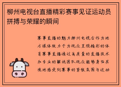柳州电视台直播精彩赛事见证运动员拼搏与荣耀的瞬间